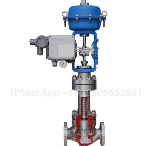 cage type of control valve