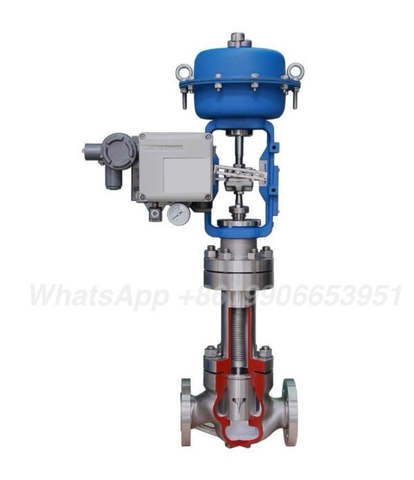 cage type of control valve